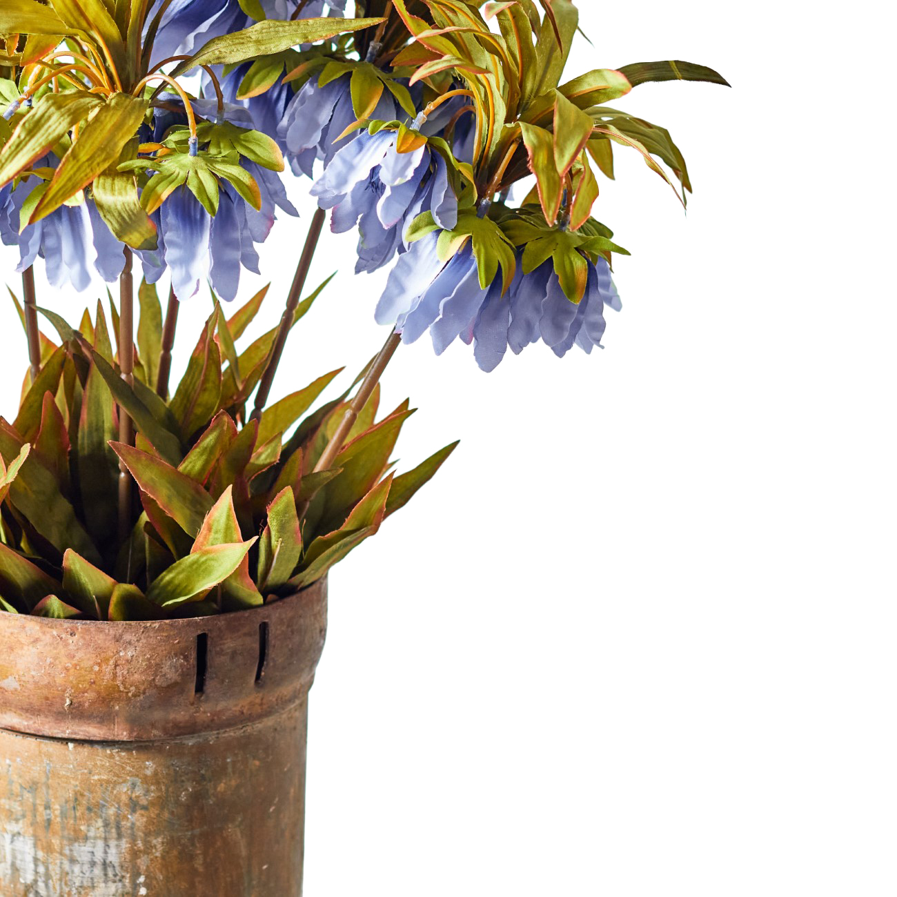 Faux Fritillaria Crown Stem Blue thumbnail
