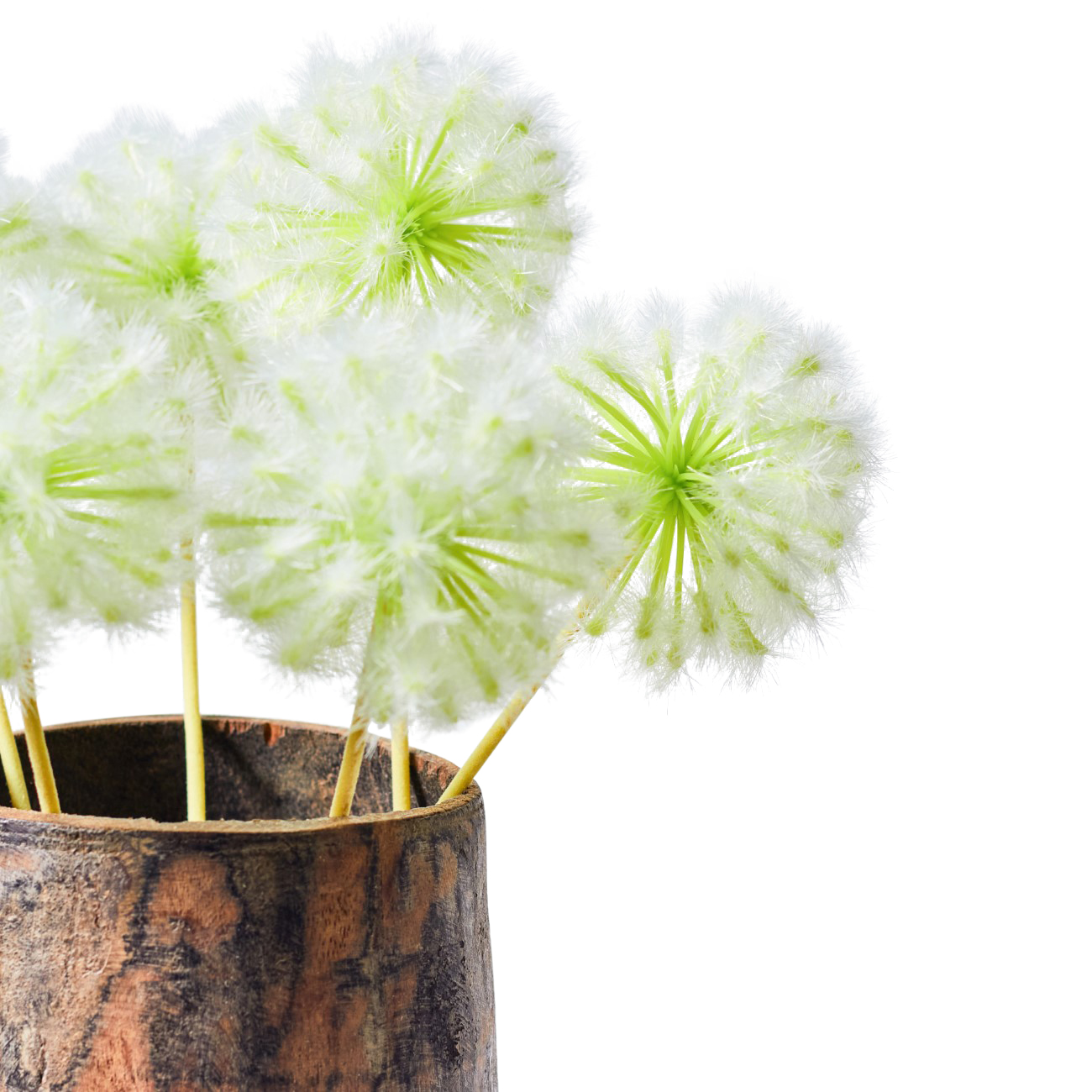 Faux Stem Dandelion Cream thumbnail