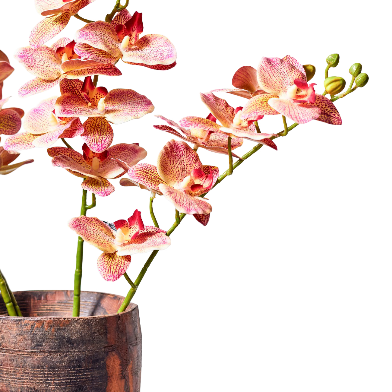 Faux Stem Orchid Pink & Cream thumbnail