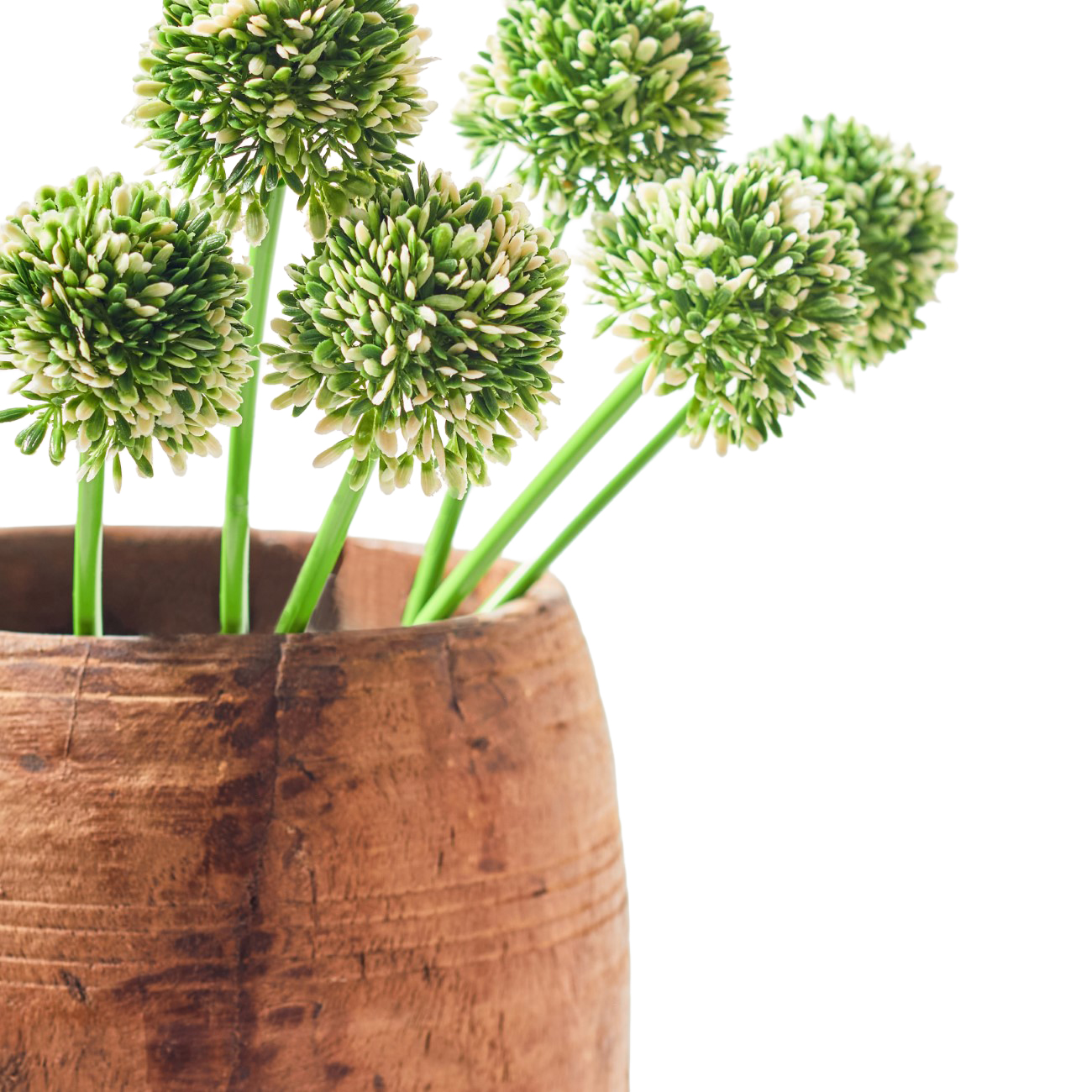 Faux Stem Allium Green & White thumbnail