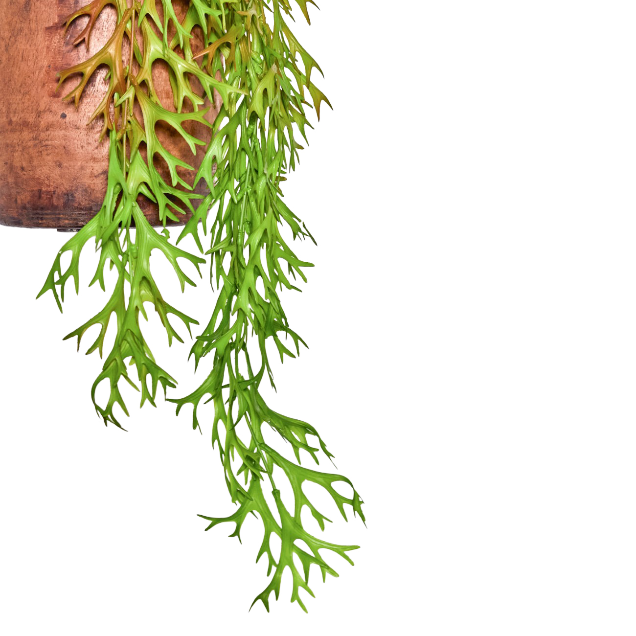 Faux Hanging Deer Horn thumbnail