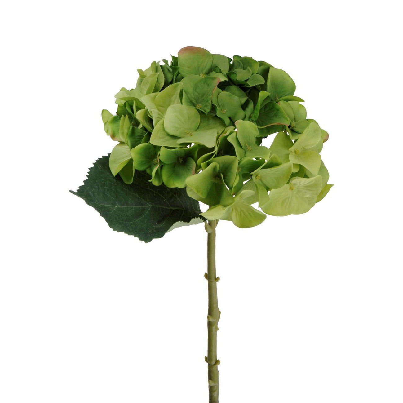 Faux Green Hydrangea With Leaves 47cm thumbnail