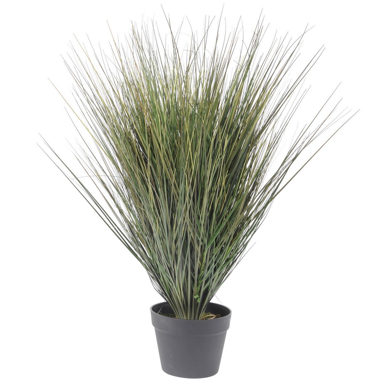 Faux Onion Grass In Plastic Pot 81cm thumbnail