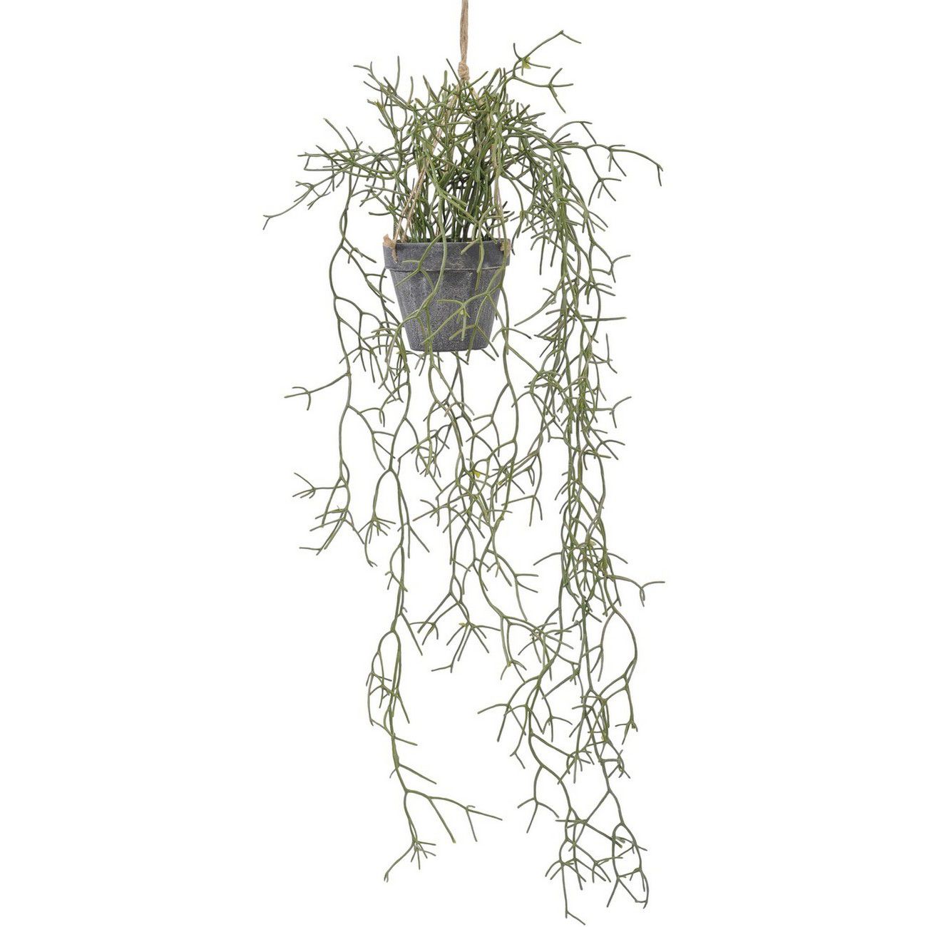 Faux Hanging Rhipsalis Plant In Pot 30cm thumbnail