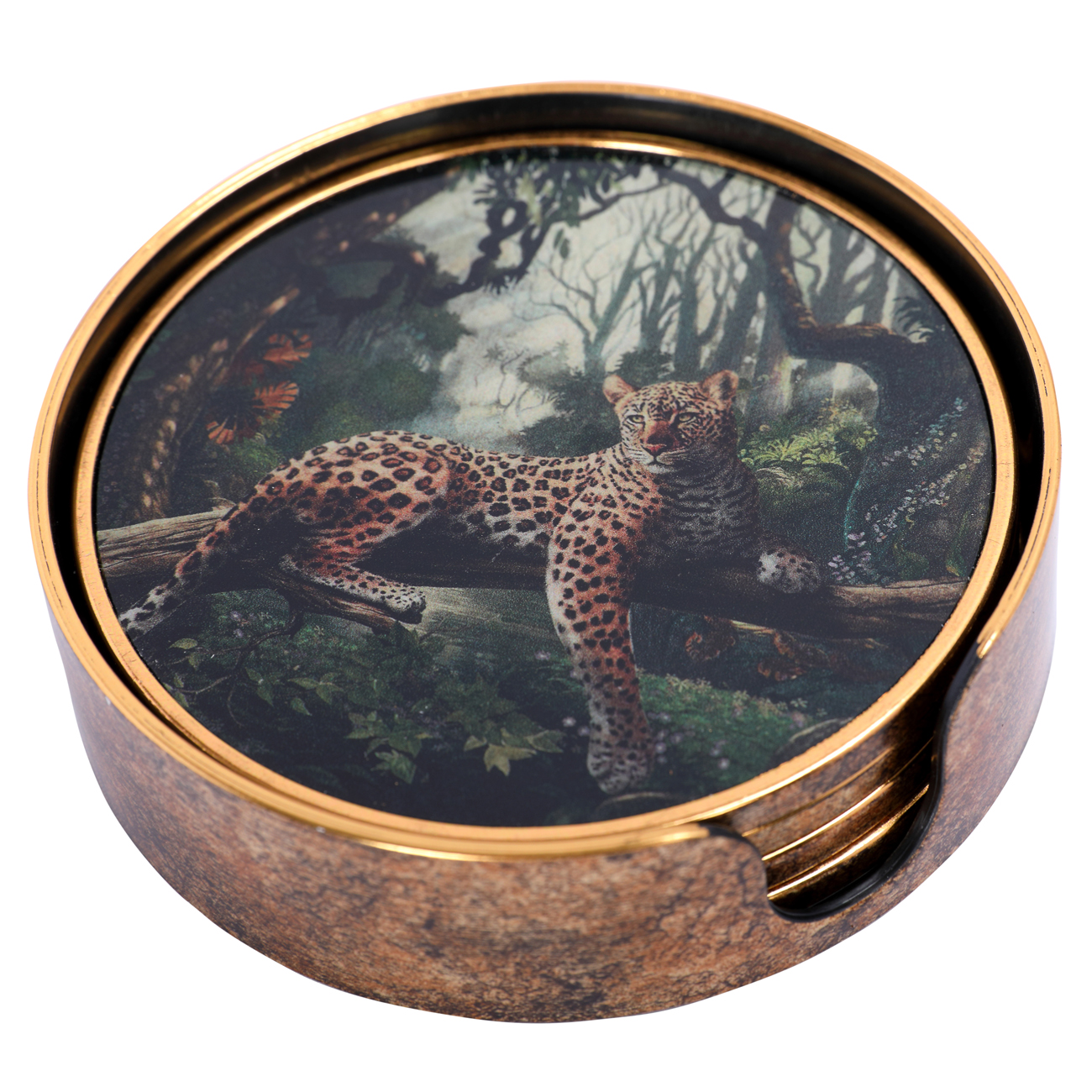 Lounging Leopard Set Coasters hover image